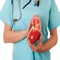 Symptoms of renal failure is an app that includes some helpful on the symptoms of Renal Failure