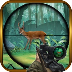 Activities of Forest Animal Hunter 3D