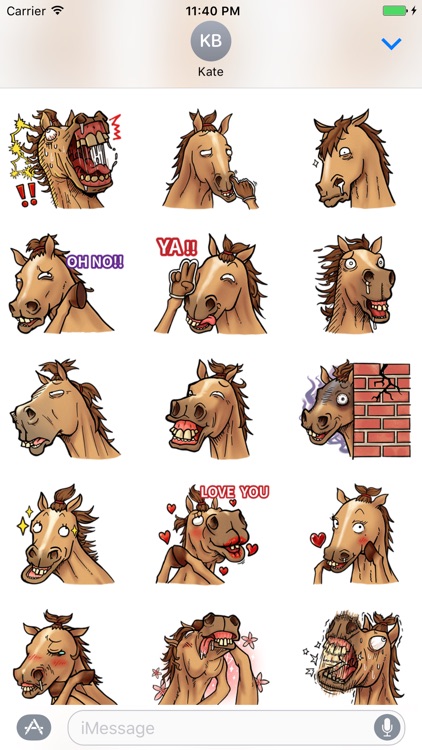 Crazy Horse Stickers