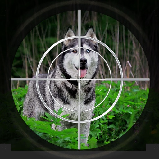 Russian Snow Wolf : Sniper Shooting Adventure icon