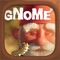 Gnome Augmented Reality