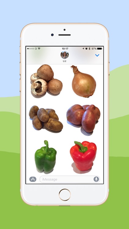 Vegetable Stickers - Great for Veggies and Vegans