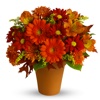 Orange Flowers Bouquets