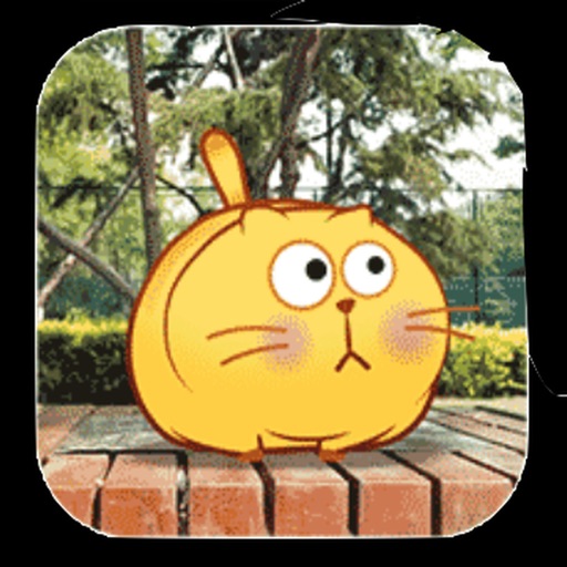 Frank the Cat - animated stickers pack iOS App