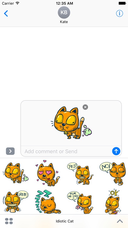Idiotic Cat