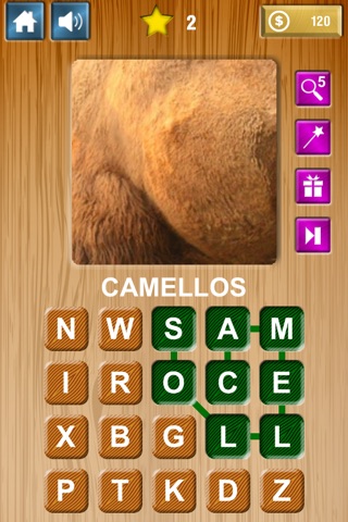 Zoom & Hidden Word - Animals Edition screenshot 2