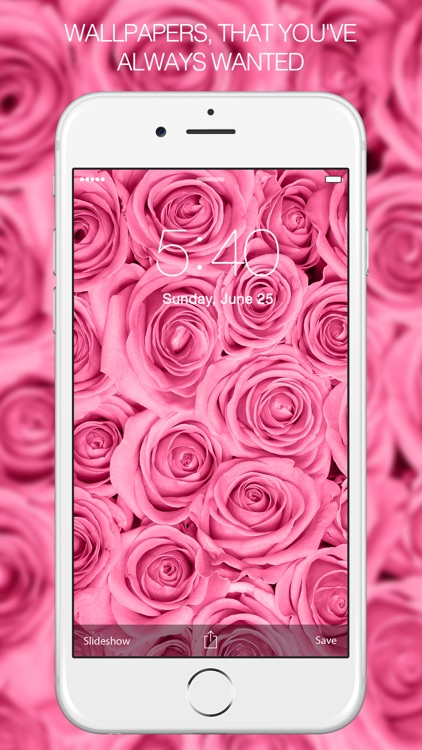Pink Wallpapers – Pink Background & Pink Pictures