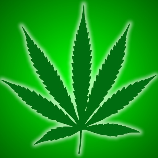 Marijuana 420