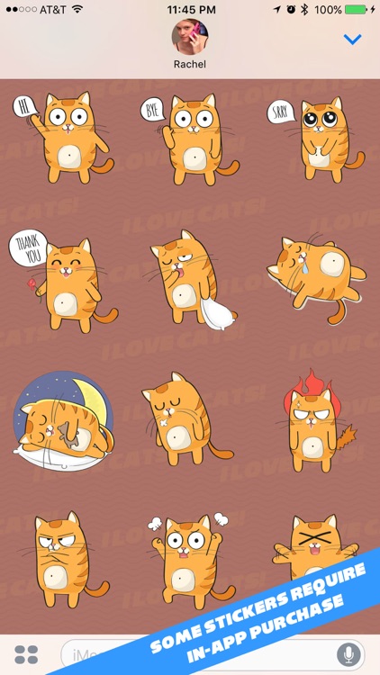 Cat Stickers