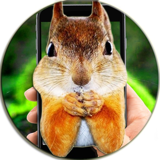 Squirrel On Hand Phone Prank icon