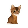 Kitty Cat 3D Animated Stickers: Abyssinian Cat