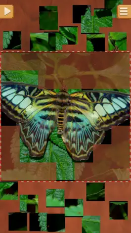 Game screenshot Butterfly Jigsaw Puzzles - Cool Puzzle Games hack