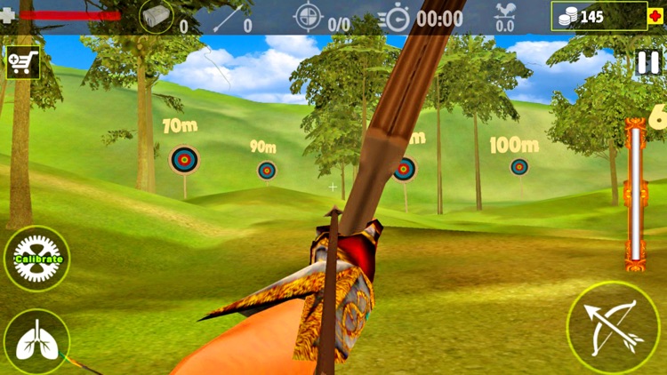 Archery King 3D : A Real Bow and Arrow Game-s