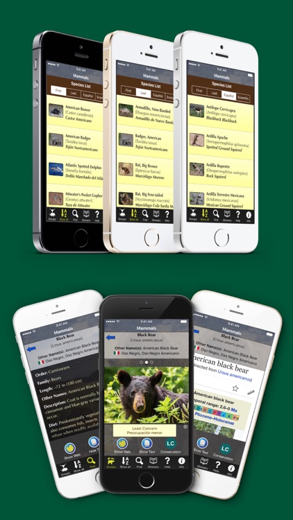 Florida Mammals – Guide to Common Species screenshot-3