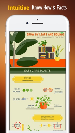 Grow Houseplants Guide-Tips and Beginners(圖1)-速報App