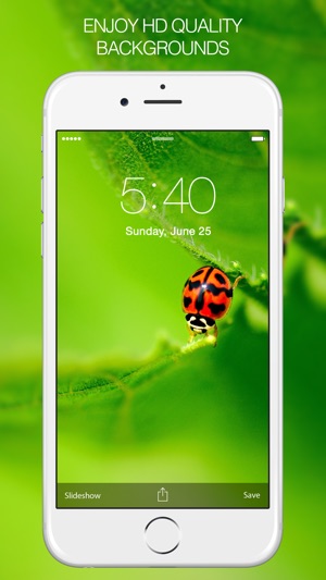 Insects Photography – Insect Wallpapers & Pictures(圖2)-速報App