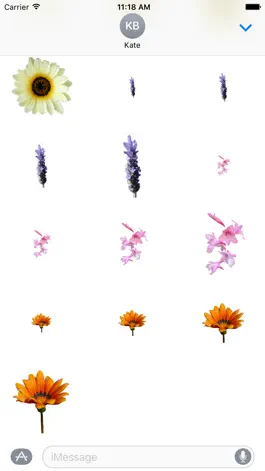 Game screenshot Flower Stickers 花貼紙 hack