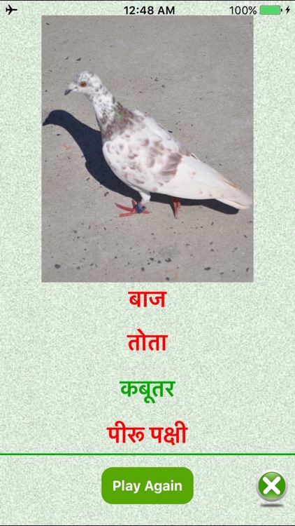 Flashcards Hindi Lesson screenshot-4