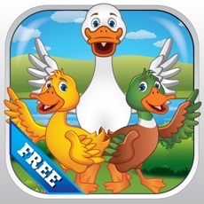 Activities of Duck Duck Goose Game