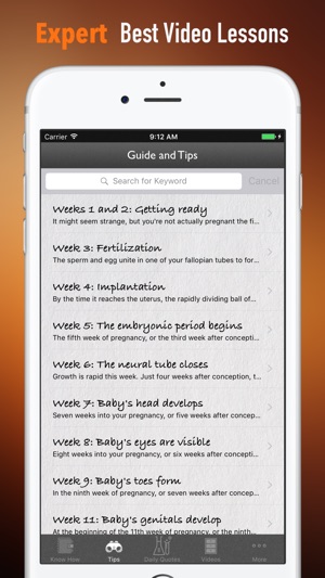 Fetal Development Week by Week Guide(圖3)-速報App