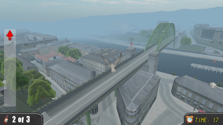 Geordie Seagull screenshot-3