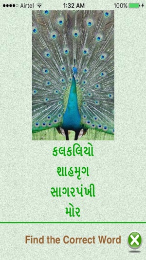 Flashcards Gujarati Lesson(圖3)-速報App