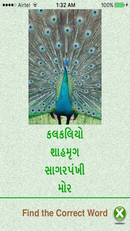 Flashcards Gujarati Lesson