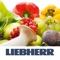 Download the Liebherr BioFresh app and find out lots of valuable information about your food, its vitamins and shelf life