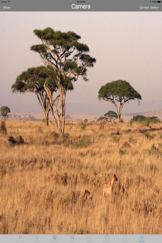 Serengeti - Africa Tourist Travel Guide screenshot 3