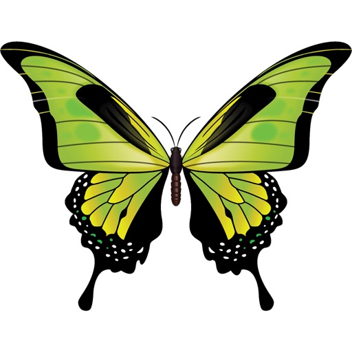 Butterfly Sticker icon