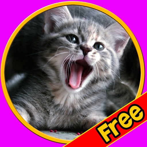 chats amicaux pour tous les enfants - jeu gratuit icon