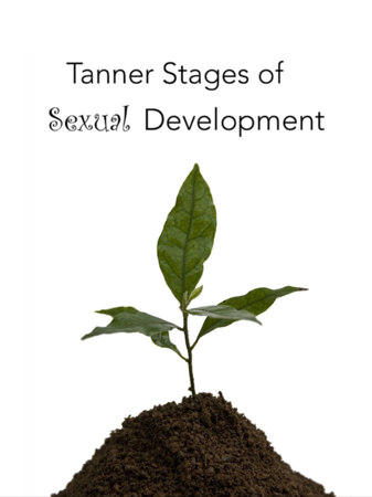 tanner stages of sexual development