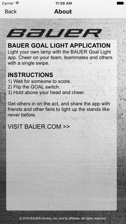 BAUER Goal Light