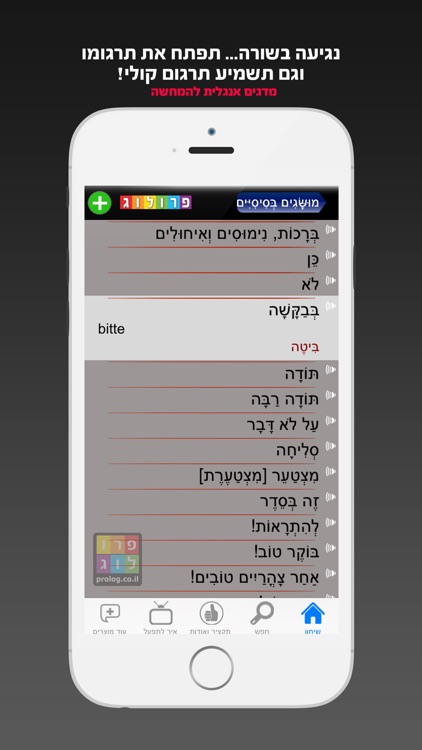 הולנדית השיחון כולל קריינות ושמע מבית פרולוג