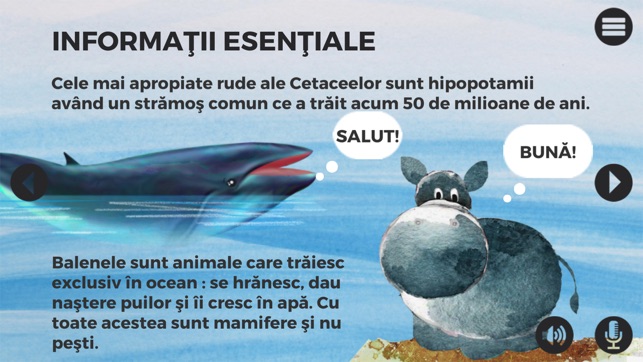 Balene si delfini