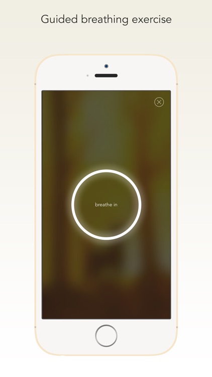 Wildfulness 2 - Nature Sounds for Stress Relief screenshot-3