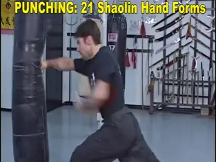 Snímek 4 Shaolin Kung Fu Fundamental iphone