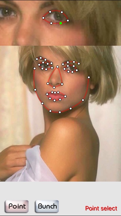 FaceMorph - Morphing multiple faces in a row. screenshot-4