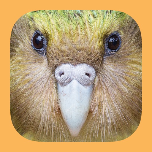 Birds of New Zealand iOS App