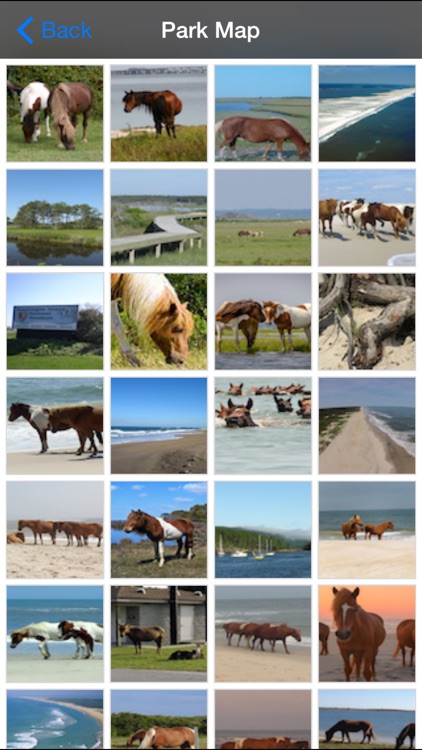Assateague Island National Park screenshot-4