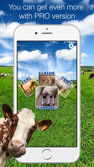 Milk The Cow Kuh Melken Im App Store