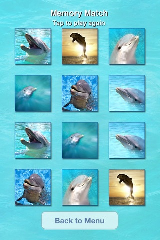 Lovely Dolphins Slideshow & Wallpapers screenshot 2