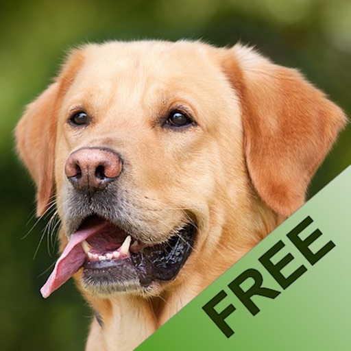 Animalsounds for Kids - FREE