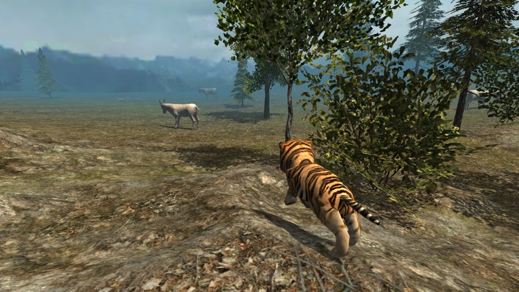 Ultimate Wild White Tiger Cub: Simulation by Wavelength Laboratories, LLC