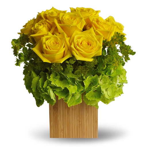 Bouquets of Yellow Roses Flowers Stickers icon