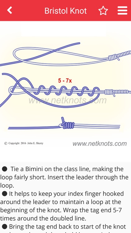 Net Knots screenshot-3