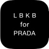 Lookbook for Prada