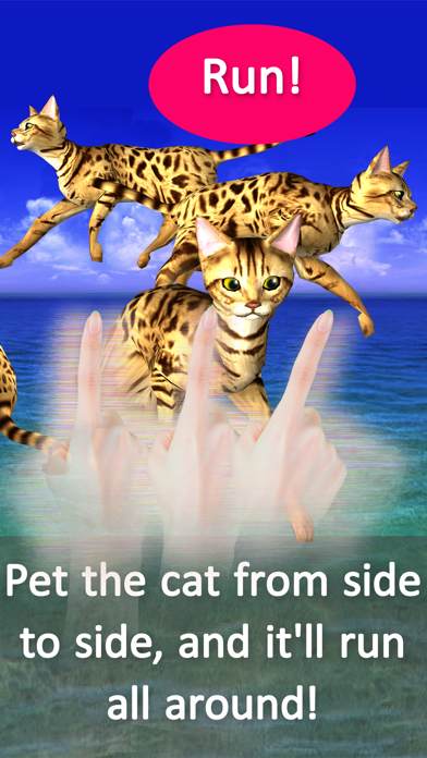 Bengal Petting Cat! More! To love the cat! screenshot 2
