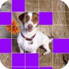 Ace Guess Dog Breed - Free Fun Quiz