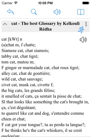 French Dictionary - Dict Box screenshot 2